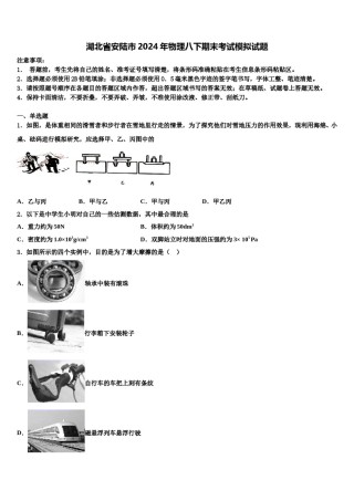 湖北省安陆市2024年物理八下期末考试模拟试题含解析.doc