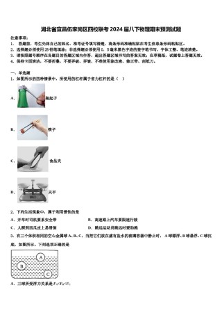 湖北省宜昌伍家岗区四校联考2024届八下物理期末预测试题含解析.doc
