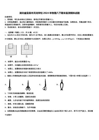 湖北省宜昌市天问学校2024年物理八下期末监测模拟试题含解析.doc