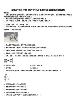 湖北省广水市2023-2024学年八下物理期末质量跟踪监视模拟试题含解析.doc
