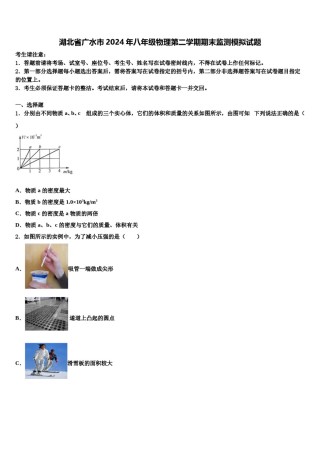 湖北省广水市2024年八年级物理第二学期期末监测模拟试题含解析.doc