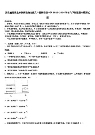 湖北省恩施土家族苗族自治州文斗民族初级中学2023-2024学年八下物理期末检测试题含解析.doc