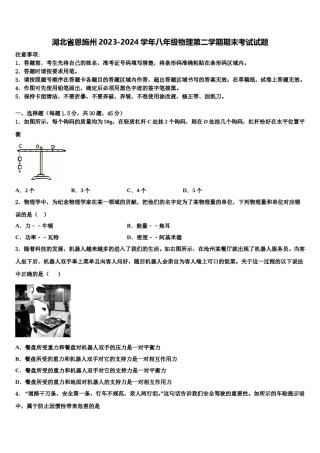 湖北省恩施州2023-2024学年八年级物理第二学期期末考试试题含解析.doc