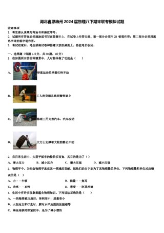 湖北省恩施州2024届物理八下期末联考模拟试题含解析.doc