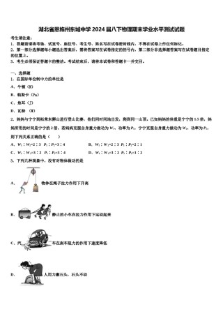 湖北省恩施州东城中学2024届八下物理期末学业水平测试试题含解析.doc