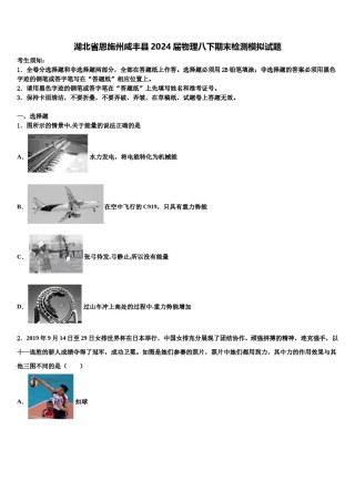 湖北省恩施州咸丰县2024届物理八下期末检测模拟试题含解析.doc