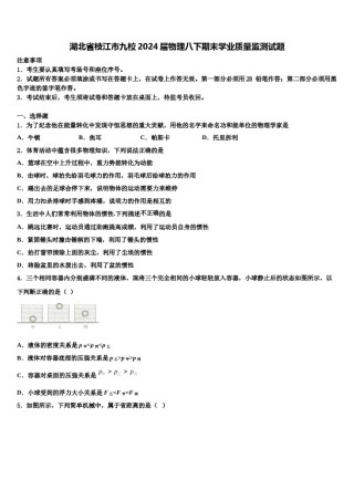 湖北省枝江市九校2024届物理八下期末学业质量监测试题含解析.doc