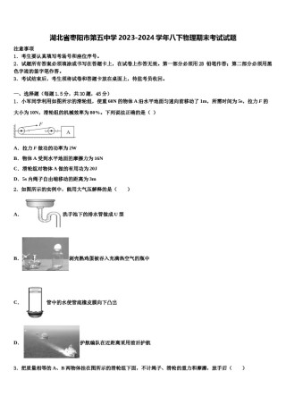 湖北省枣阳市第五中学2023-2024学年八下物理期末考试试题含解析.doc