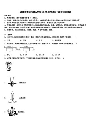 湖北省枣阳市第五中学2024届物理八下期末预测试题含解析.doc