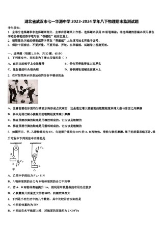 湖北省武汉市七一华源中学2023-2024学年八下物理期末监测试题含解析.doc