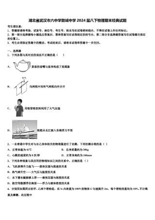 湖北省武汉市六中学致诚中学2024届八下物理期末经典试题含解析.doc