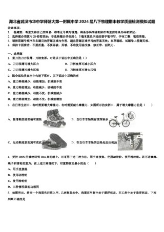 湖北省武汉市华中学师范大第一附属中学2024届八下物理期末教学质量检测模拟试题含解析.doc