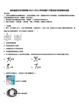 湖北省武汉市市新观察2023-2024学年物理八下期末复习检测模拟试题含解析.doc
