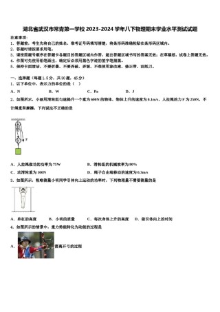 湖北省武汉市常青第一学校2023-2024学年八下物理期末学业水平测试试题含解析.doc