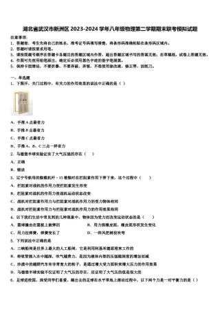 湖北省武汉市新洲区2023-2024学年八年级物理第二学期期末联考模拟试题含解析.doc