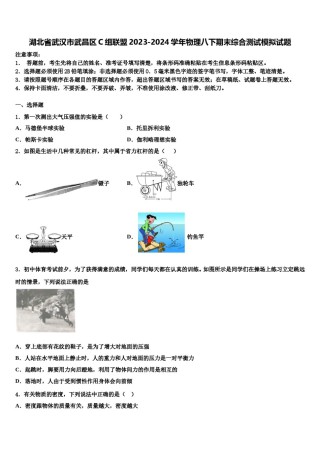 湖北省武汉市武昌区C组联盟2023-2024学年物理八下期末综合测试模拟试题含解析.doc