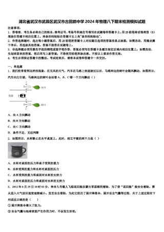 湖北省武汉市武昌区武汉市古田路中学2024年物理八下期末检测模拟试题含解析.doc