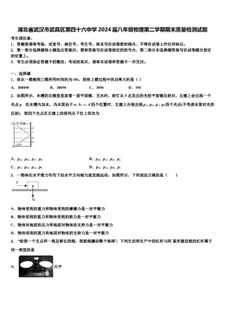 湖北省武汉市武昌区第四十六中学2024届八年级物理第二学期期末质量检测试题含解析.doc