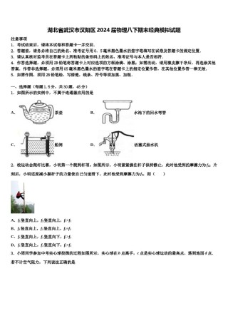 湖北省武汉市汉阳区2024届物理八下期末经典模拟试题含解析.doc
