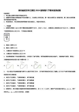 湖北省武汉市江夏区2024届物理八下期末监测试题含解析.doc