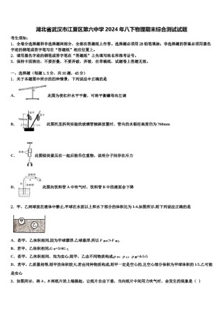 湖北省武汉市江夏区第六中学2024年八下物理期末综合测试试题含解析.doc