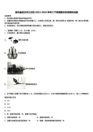 湖北省武汉市江汉区2023-2024学年八下物理期末检测模拟试题含解析.doc