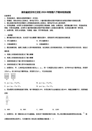 湖北省武汉市江汉区2024年物理八下期末检测试题含解析.doc