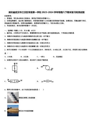 湖北省武汉市江汉区常青第一学校2023-2024学年物理八下期末复习检测试题含解析.doc