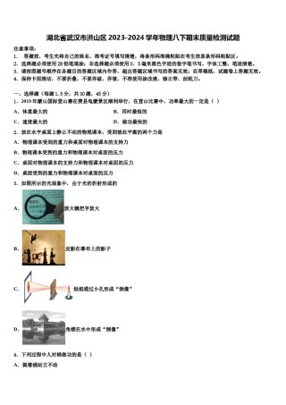 湖北省武汉市洪山区2023-2024学年物理八下期末质量检测试题含解析.doc