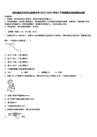 湖北省武汉市洪山高级中学2023-2024学年八下物理期末监测模拟试题含解析.doc