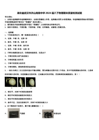 湖北省武汉市洪山高级中学2024届八下物理期末质量检测试题含解析.doc