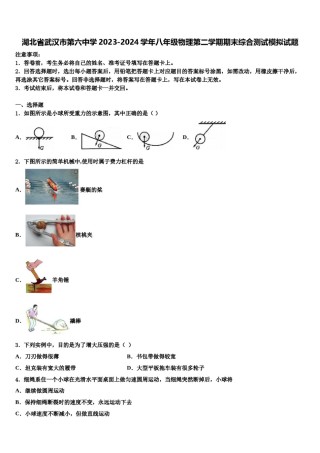 湖北省武汉市第六中学2023-2024学年八年级物理第二学期期末综合测试模拟试题含解析.doc