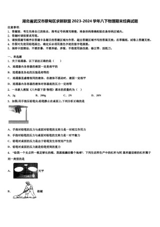 湖北省武汉市蔡甸区求新联盟2023-2024学年八下物理期末经典试题含解析.doc