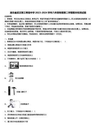 湖北省武汉第三寄宿中学2023-2024学年八年级物理第二学期期末检测试题含解析.doc