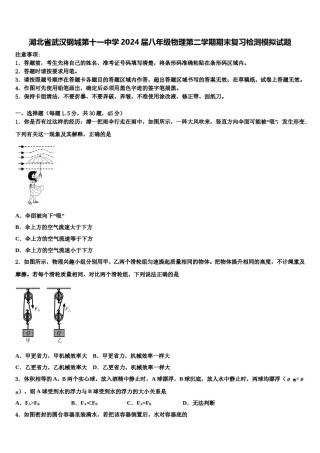 湖北省武汉钢城第十一中学2024届八年级物理第二学期期末复习检测模拟试题含解析.doc