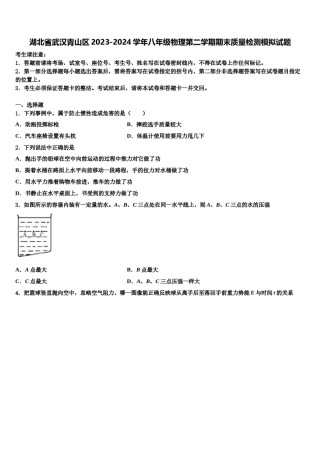 湖北省武汉青山区2023-2024学年八年级物理第二学期期末质量检测模拟试题含解析.doc