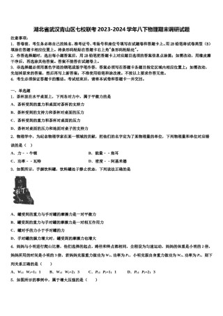 湖北省武汉青山区七校联考2023-2024学年八下物理期末调研试题含解析.doc