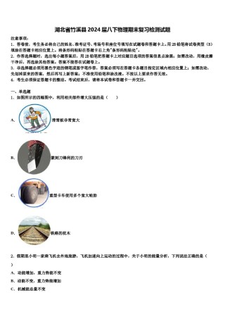 湖北省竹溪县2024届八下物理期末复习检测试题含解析.doc