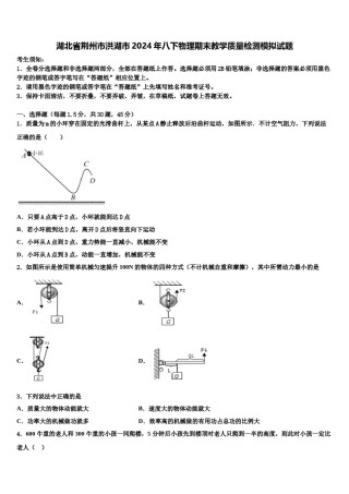 湖北省荆州市洪湖市2024年八下物理期末教学质量检测模拟试题含解析.doc