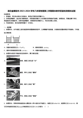 湖北省襄阳市2023-2024学年八年级物理第二学期期末教学质量检测模拟试题含解析.doc