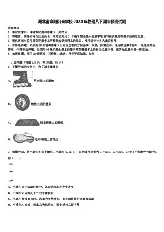湖北省襄阳阳光学校2024年物理八下期末预测试题含解析.doc