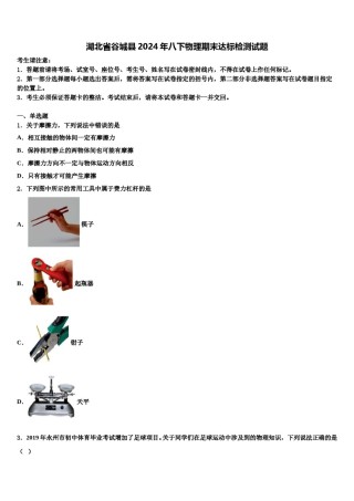 湖北省谷城县2024年八下物理期末达标检测试题含解析.doc