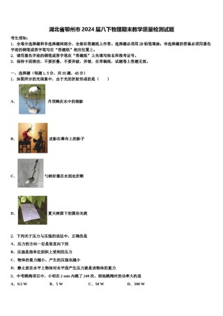 湖北省鄂州市2024届八下物理期末教学质量检测试题含解析.doc