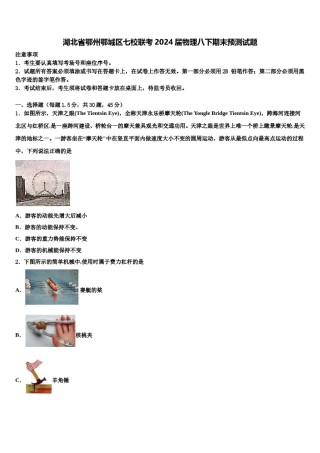 湖北省鄂州鄂城区七校联考2024届物理八下期末预测试题含解析.doc
