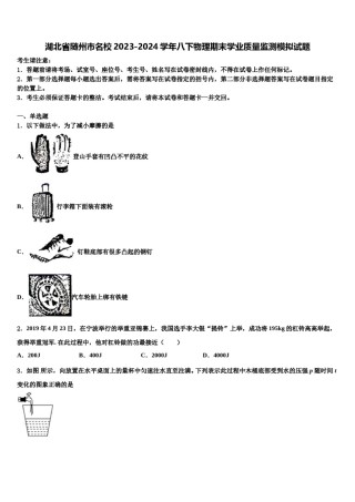 湖北省随州市名校2023-2024学年八下物理期末学业质量监测模拟试题含解析.doc