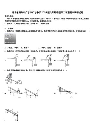 湖北省随州市广水市广才中学2024届八年级物理第二学期期末调研试题含解析.doc