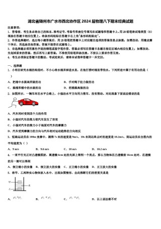 湖北省随州市广水市西北协作区2024届物理八下期末经典试题含解析.doc