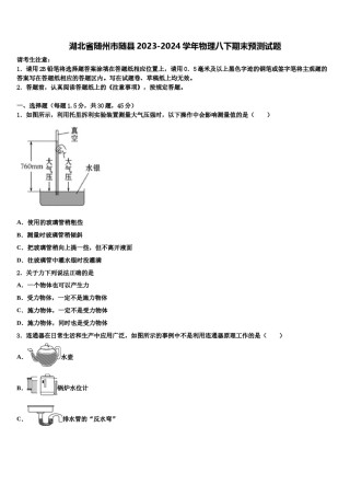 湖北省随州市随县2023-2024学年物理八下期末预测试题含解析.doc
