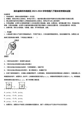 湖北省随州市高新区2023-2024学年物理八下期末统考模拟试题含解析.doc