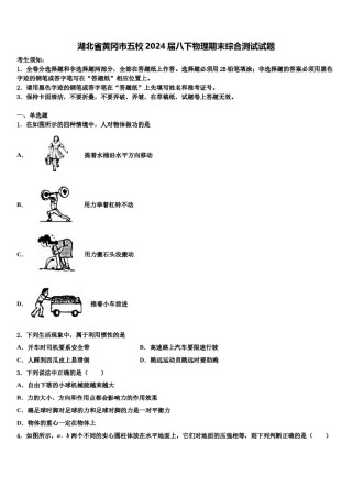 湖北省黄冈市五校2024届八下物理期末综合测试试题含解析.doc